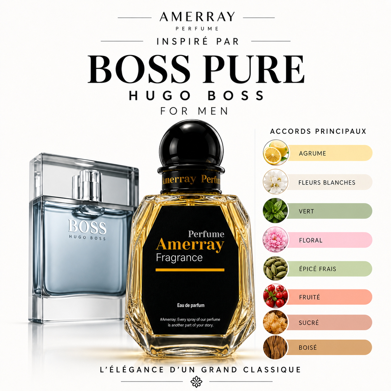 Pack 4 Parfums Homme Amerray N°1 – 4 x 50 ml