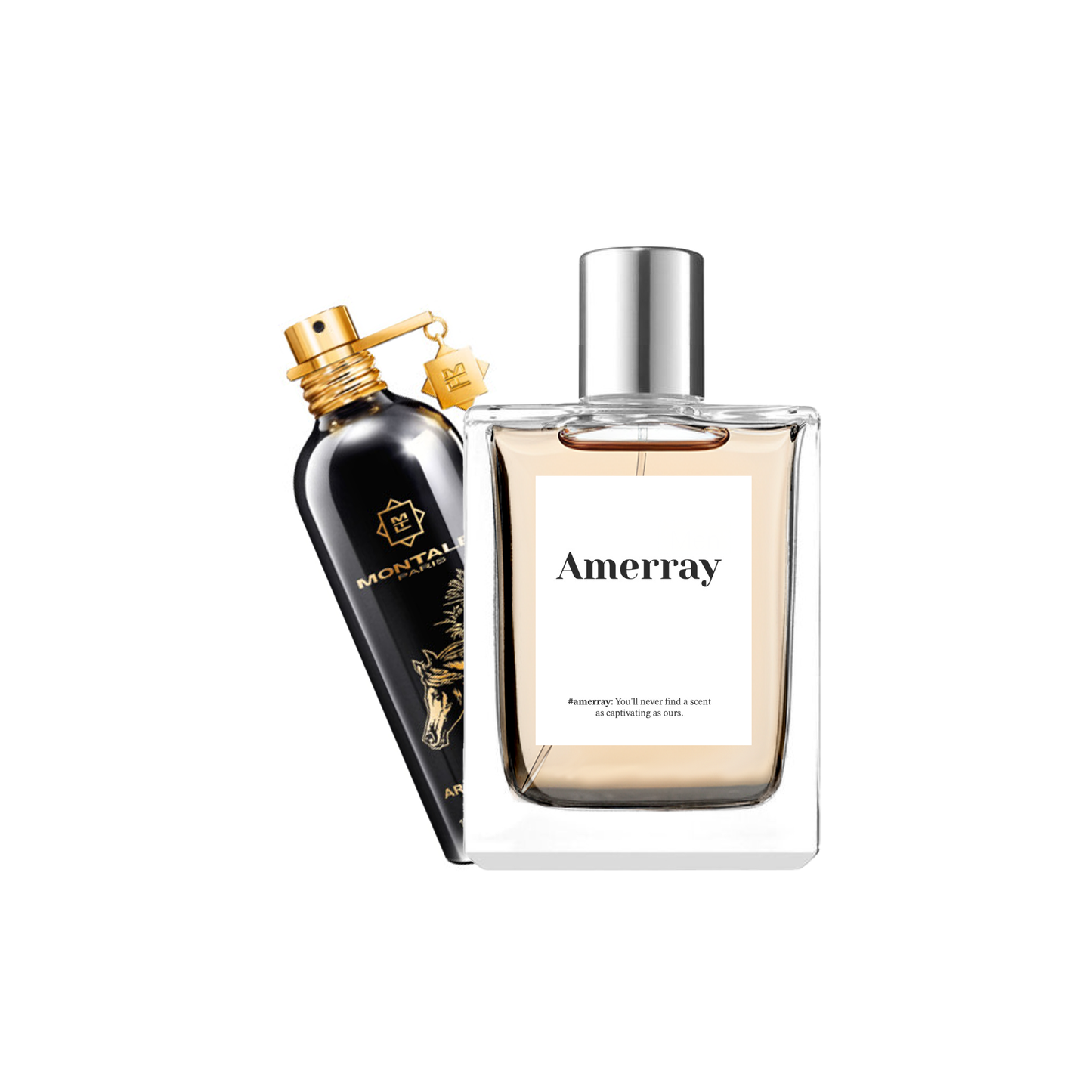 Inspired By Arabians Tonka - Amerray & Co.