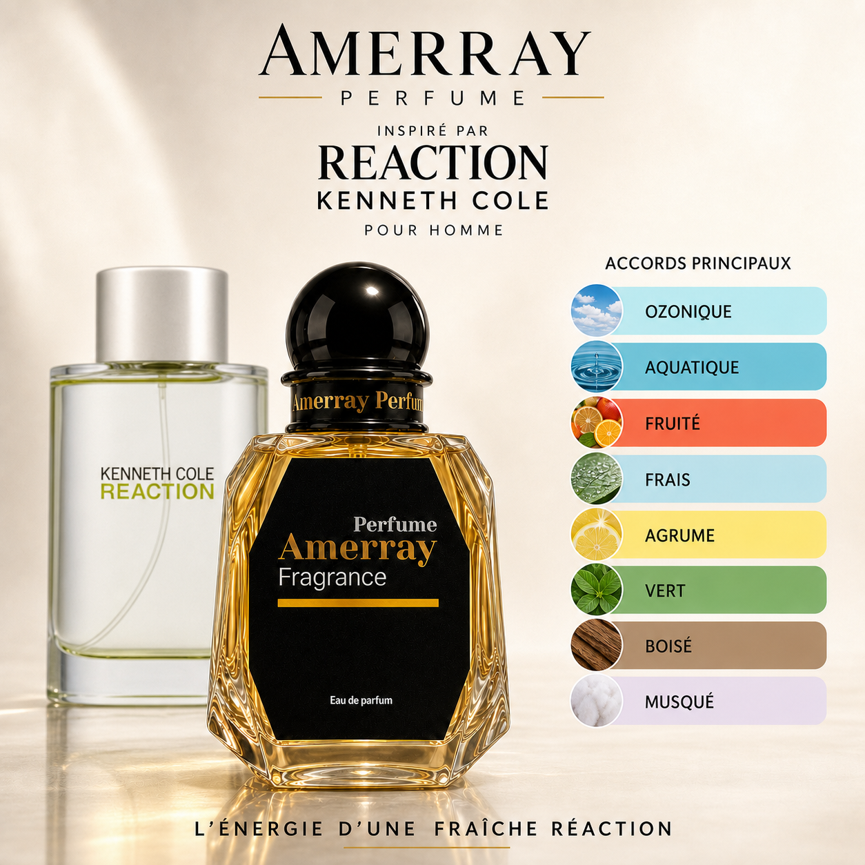 Pack 4 Parfums Homme Amerray N°11 – 4 x 50 ml