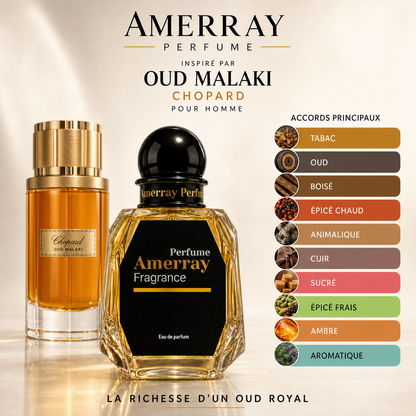 Pack 4 Parfums Homme Amerray N°11 – 4 x 50 ml