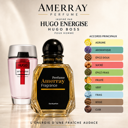 Pack 4 Parfums Homme Amerray N°12 – 4 x 50 ml