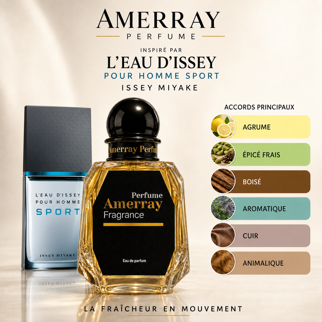 Pack 4 Parfums Homme Amerray N°7 – 4 x 50 ml
