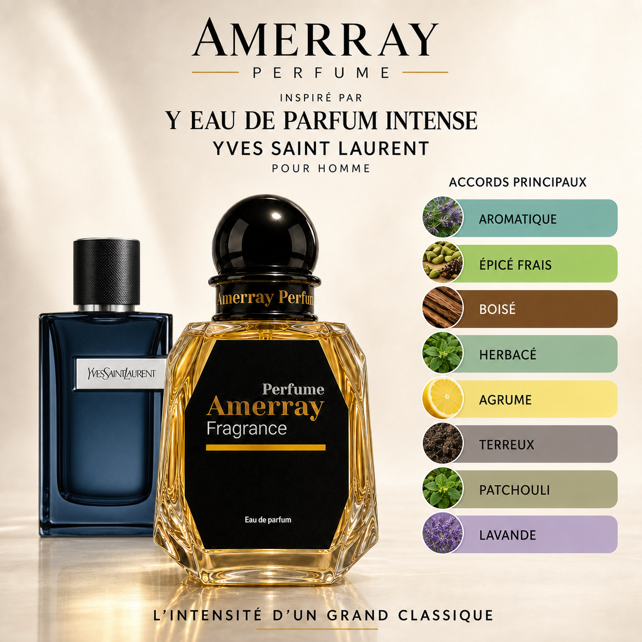 Pack 4 Parfums Homme Amerray N°7 – 4 x 50 ml