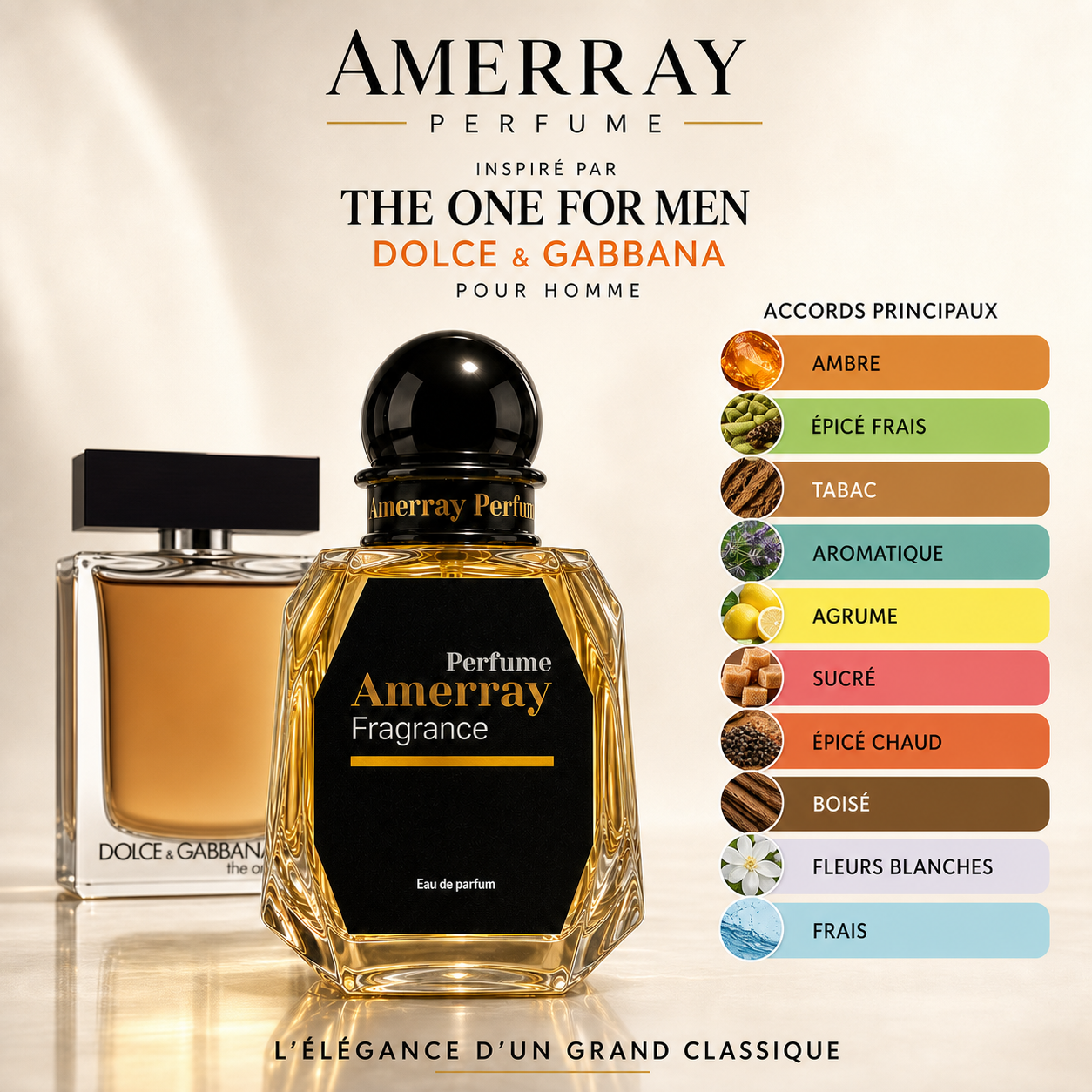 Pack 4 Parfums Homme Amerray N°19 – 4 x 50 ml