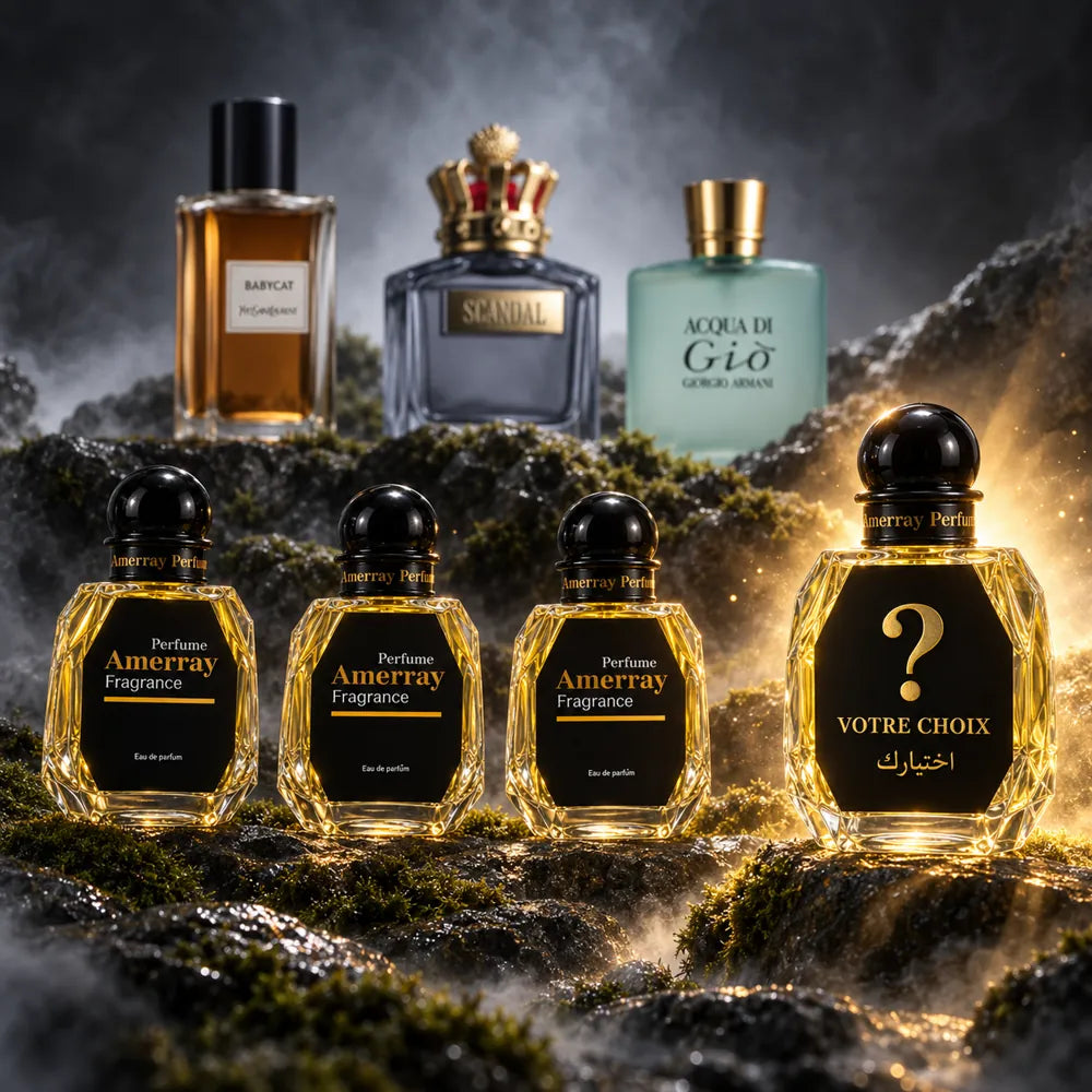 New Pack 2026 N°5 Amerray – Babycat, Scandal Pour Homme, Acqua di Giò + 1 parfum au choix